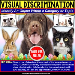 Visual Discrimination Skills for Identifying Differences TASK BOX FILLER® Autism